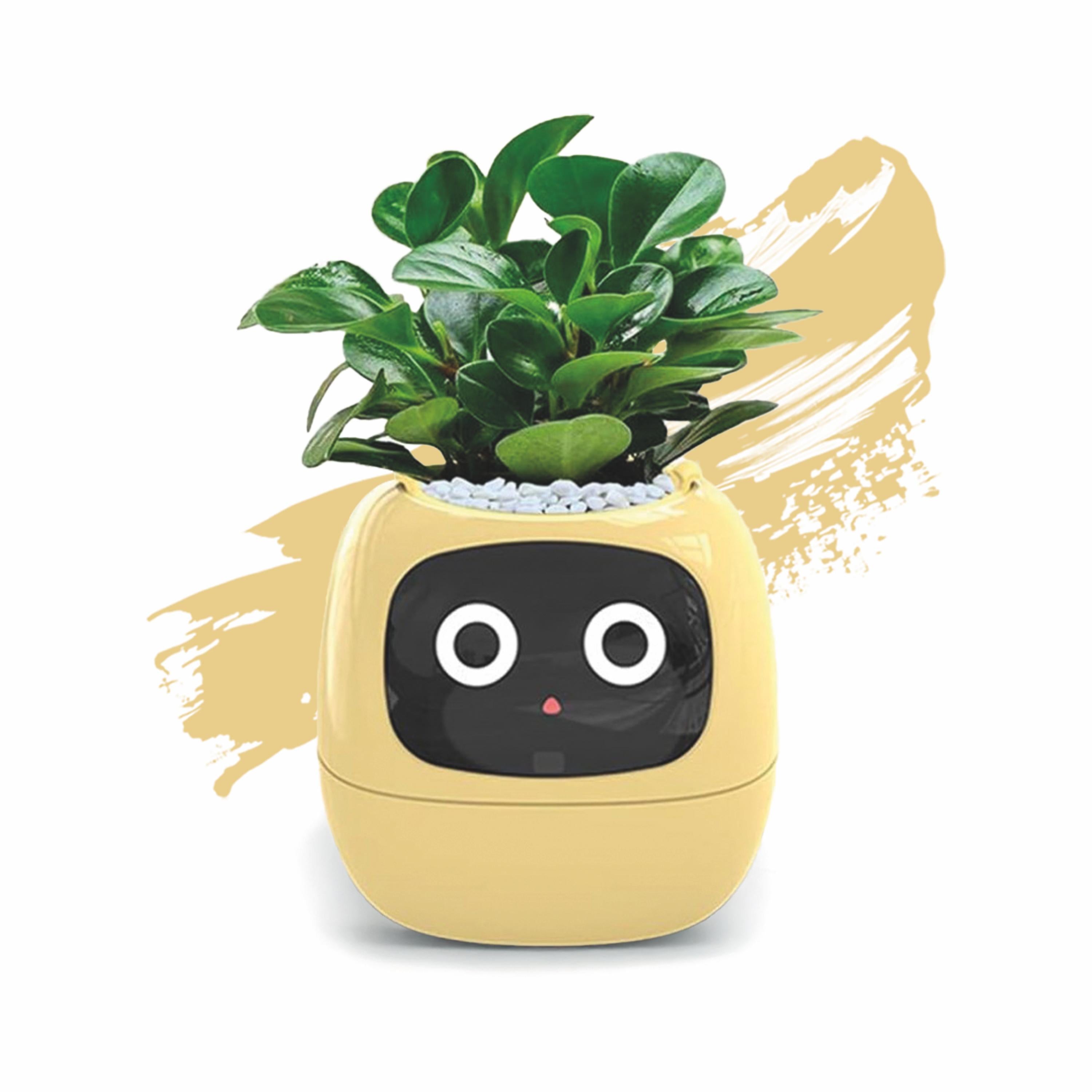 Tuya - AI Smart Planter