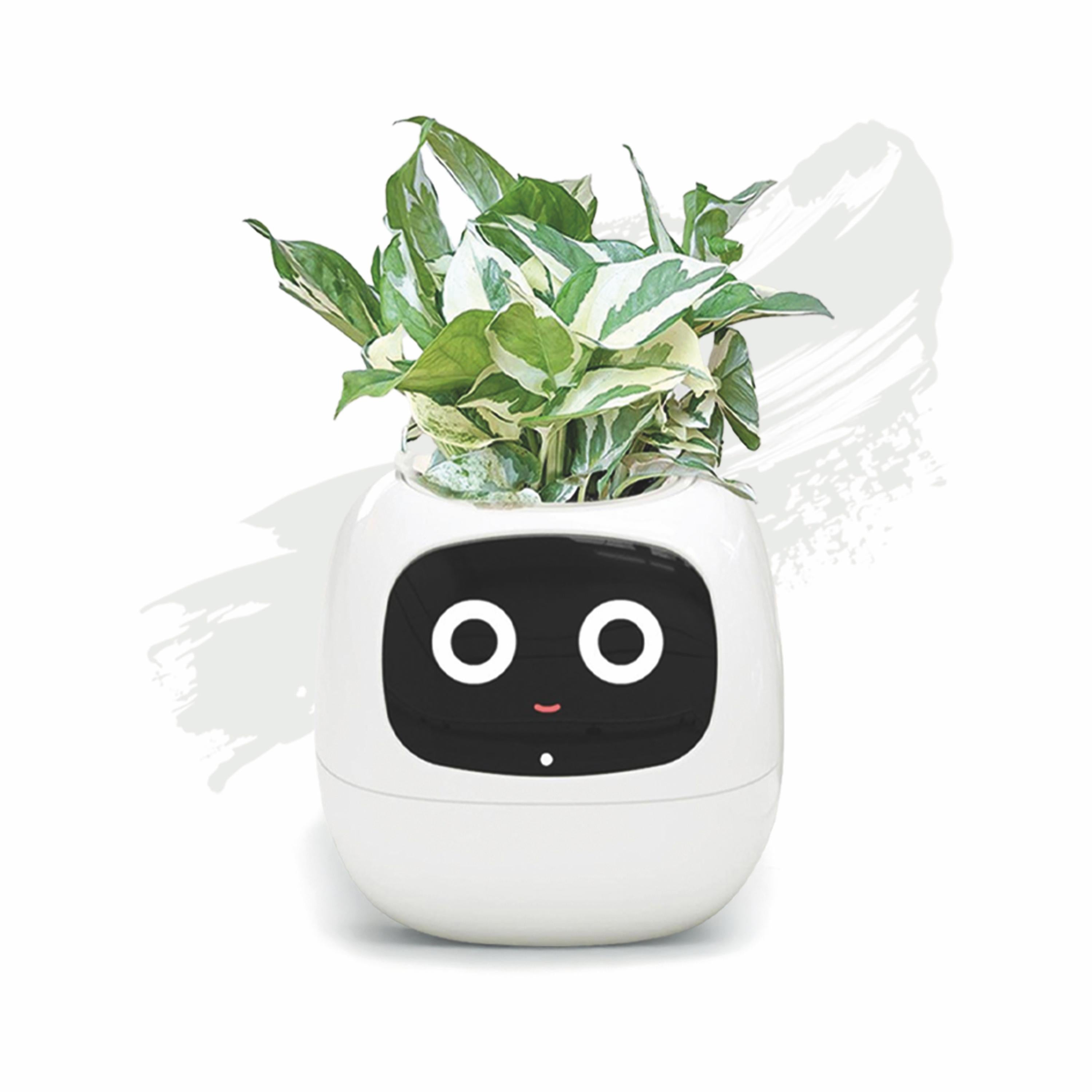 Tuya - AI Smart Planter