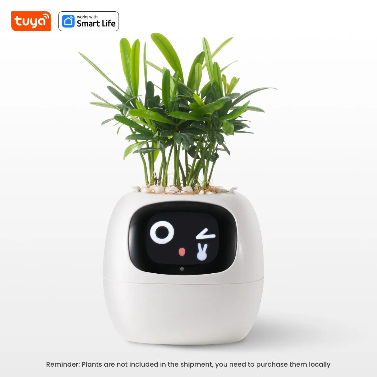 Tuya - AI Smart Planter