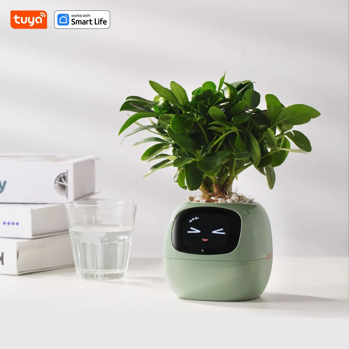 Tuya - AI Smart Planter