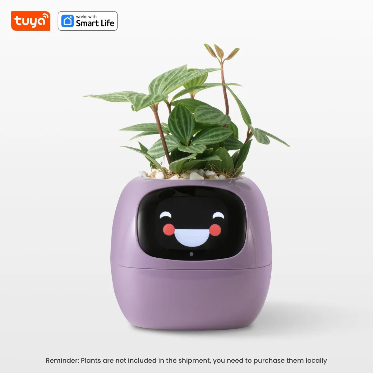 Tuya - AI Smart Planter