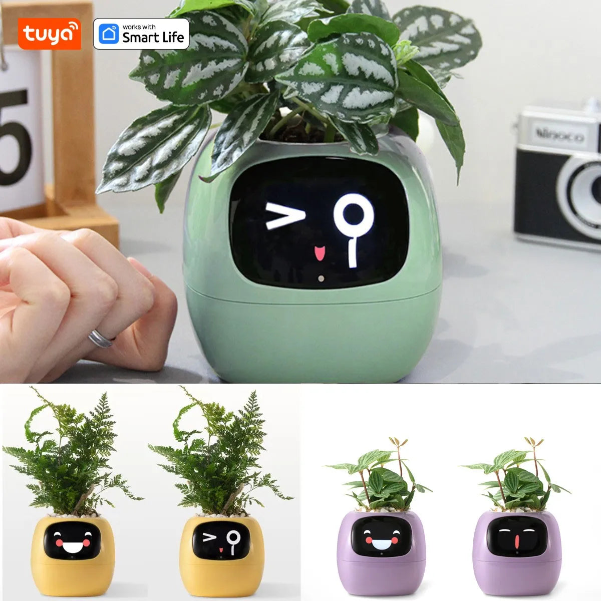 Tuya - AI Smart Planter